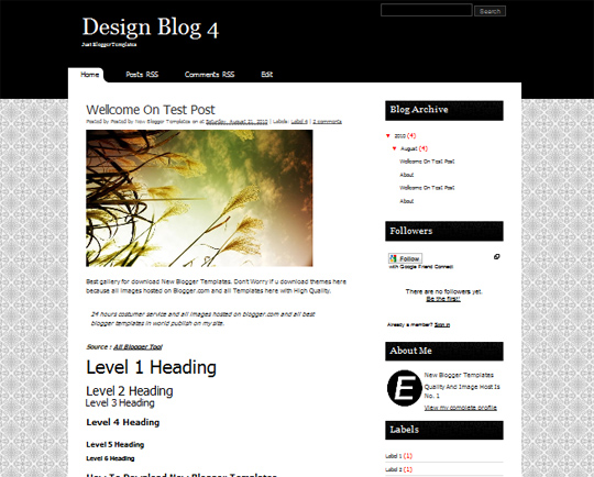 Design Blog 4