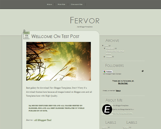 Fervor