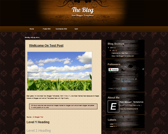 The Blog