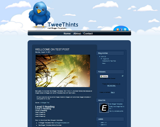 Tweethints