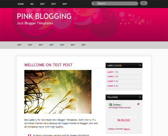 Pink Blogging