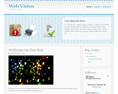 Web Vision